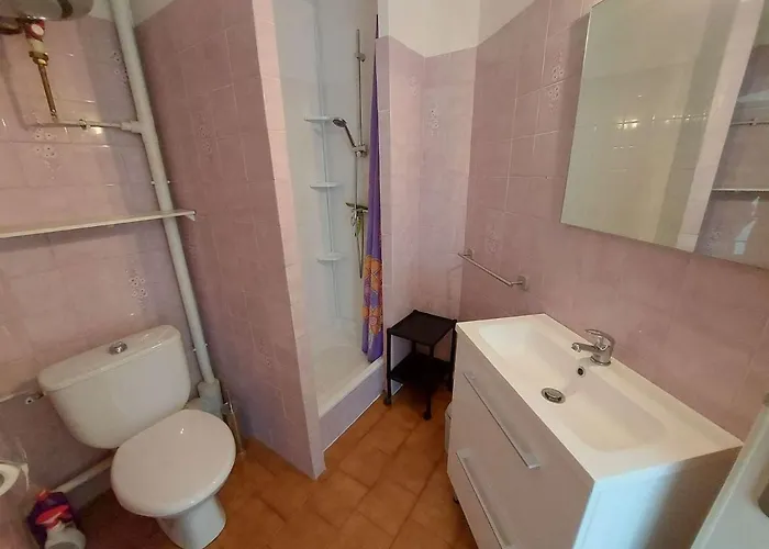 2 Pièces 4 Pers Avec Terrasse, Parking Privé Et Accès Direct à - Fr-1-326-791 Marseillan (Herault)